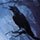 Midnight Mysteries The Edgar Allan Poe Conspiracy Game - Free Midnight Mysteries The Edgar Allan Poe Conspiracy Game Downloads