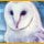 Mystery Trackers: Black Isle Mac Game - Play Mystery Trackers: Black Isle Game for Mac Download Free