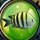 Nat Geo Adventure Ghost Fleet Game - Free Nat Geo Adventure Ghost Fleet Game Downloads Nat Geo Adventure Ghost Fleet Game - Free Nat Geo Adventure Ghost Fleet Game Downloads