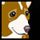 National Geographic DogTown Game - Free National Geographic DogTown Game Downloads