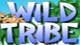 Wild Tribe Game - Free Wild Tribe Game Downloads