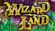 Wizard Land Game - Free Wizard Land Game Downloads