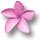 Aloha Solitaire Mac Game - Free Aloha Solitaire Game for Mac Download