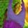 Band of Bugs Game - Free Band of Bugs Game Downloads