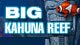 Big Kahuna Reef Puzzle Game