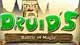 Druid's Battle of Magic Game