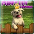Puppy Luv Game - Free Puppy Luv Downloads