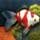 FishCo Game - Free FishCo Game Downloads