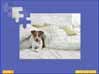 Super Jigsaw Adorable Animals 2 Game screenshot - click for larger view