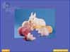 Super Jigsaw Adorable Animals 2 Game screenshot - click for larger view