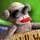 Little Shop City Lights Game - Free Little Shop City Lights Game Downloads