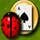 Luck Charm Deluxe