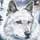Nancy Drew The White Wolf of Icicle Creek Game for PC - Nancy Drew The White Wolf of Icicle Creek Game Downloads