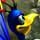 Plumeboom Game - Free Plumeboom Game Downloads