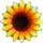 Sunshine Acres Game - Free Sunshine Acres Game Downloads