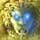 The Lost Treasures of Alexandria Game - Free The Lost Treasures of Alexandria Game Downloads