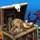 Treasure Masters, Inc. Game - Free Treasure Masters, Inc. Game Downloads