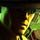 Undiscovered World The Incan Sun Game - Free Undiscovered World The Incan Sun Game Downloads
