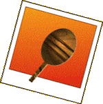 The shaman's rattle