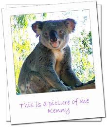 Kenny the Koala