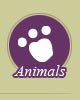 Animal stories, facts, environment