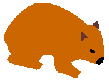 Wombat Search Engine